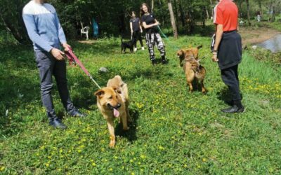 Humanitarna akcija u skloništu za nezbrinute životinje Lič