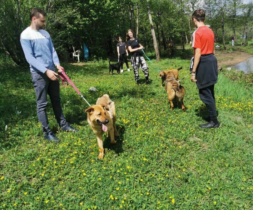 Humanitarna akcija u skloništu za nezbrinute životinje Lič