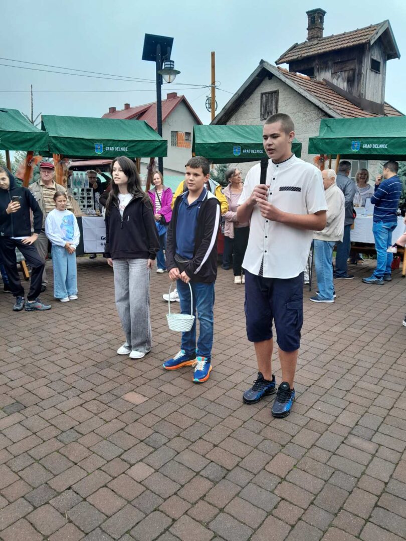 sljiva 2 slika